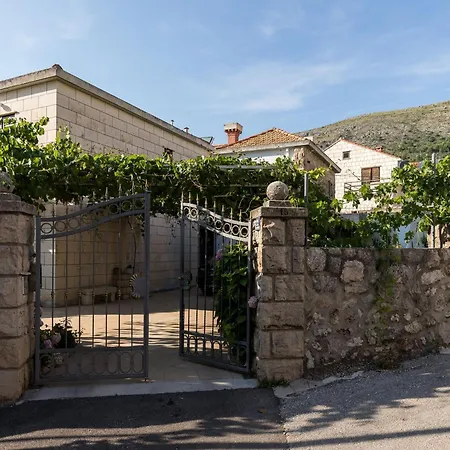 Vukic - With Terrace And Garden View