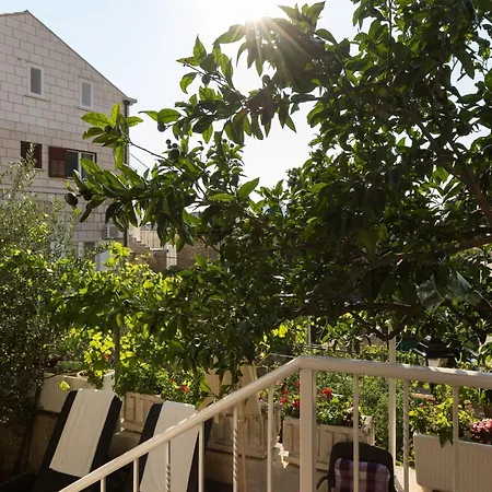 Apartman Vukic - With Terrace And Garden View