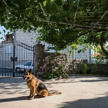 아파트 Vukic - With Terrace And Garden View 두브로브니크