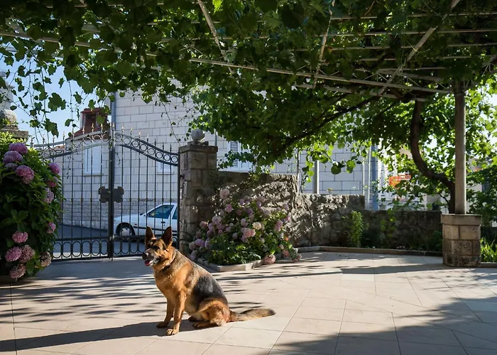 Apartmán Vukic - With Terrace And Garden View Dubrovník